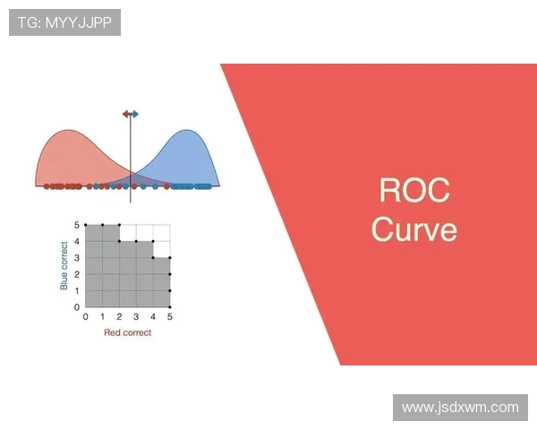 武汉羽毛球队战术解析：从技术到战术的全面探讨与应用