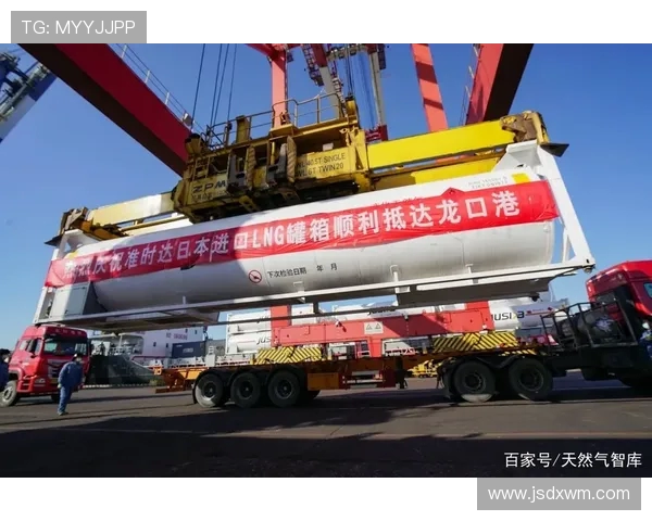 独家解读LNG灵活性优势与市场动态深度对比分析