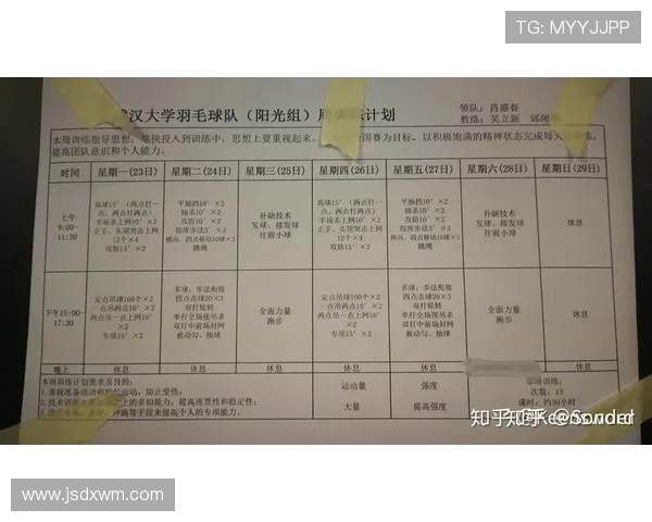 羽毛球深度解析：探秘杭州羽毛球队的战术控制与训练秘诀