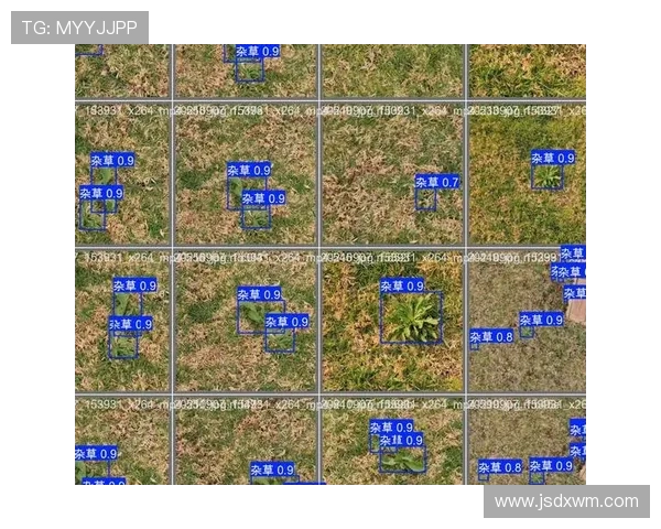 西安极限运动队力量表现数据分析与训练策略探讨