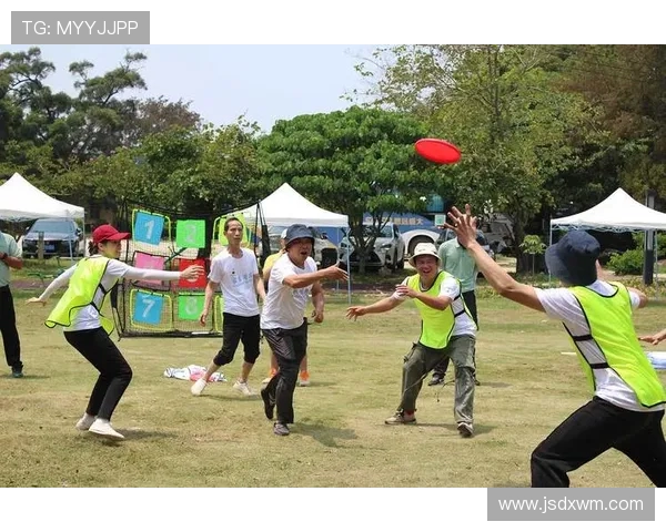 飞盘运动的魅力与技巧探讨赵军分享独特心得与经验