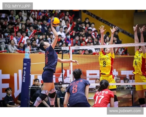 广州排球队荣登排球速度排行榜首位引领全国排球新风潮
