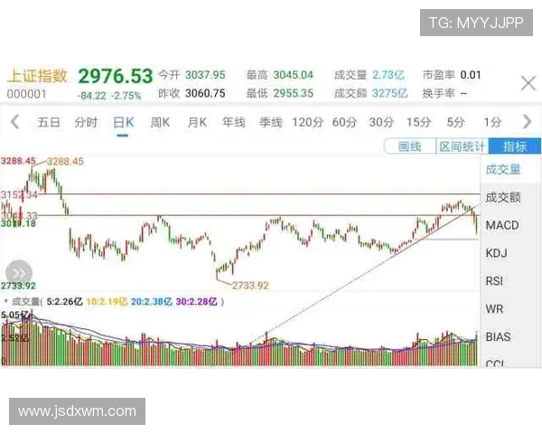 成都飞盘队与深圳飞盘队实力对比赛后复盘分析与总结